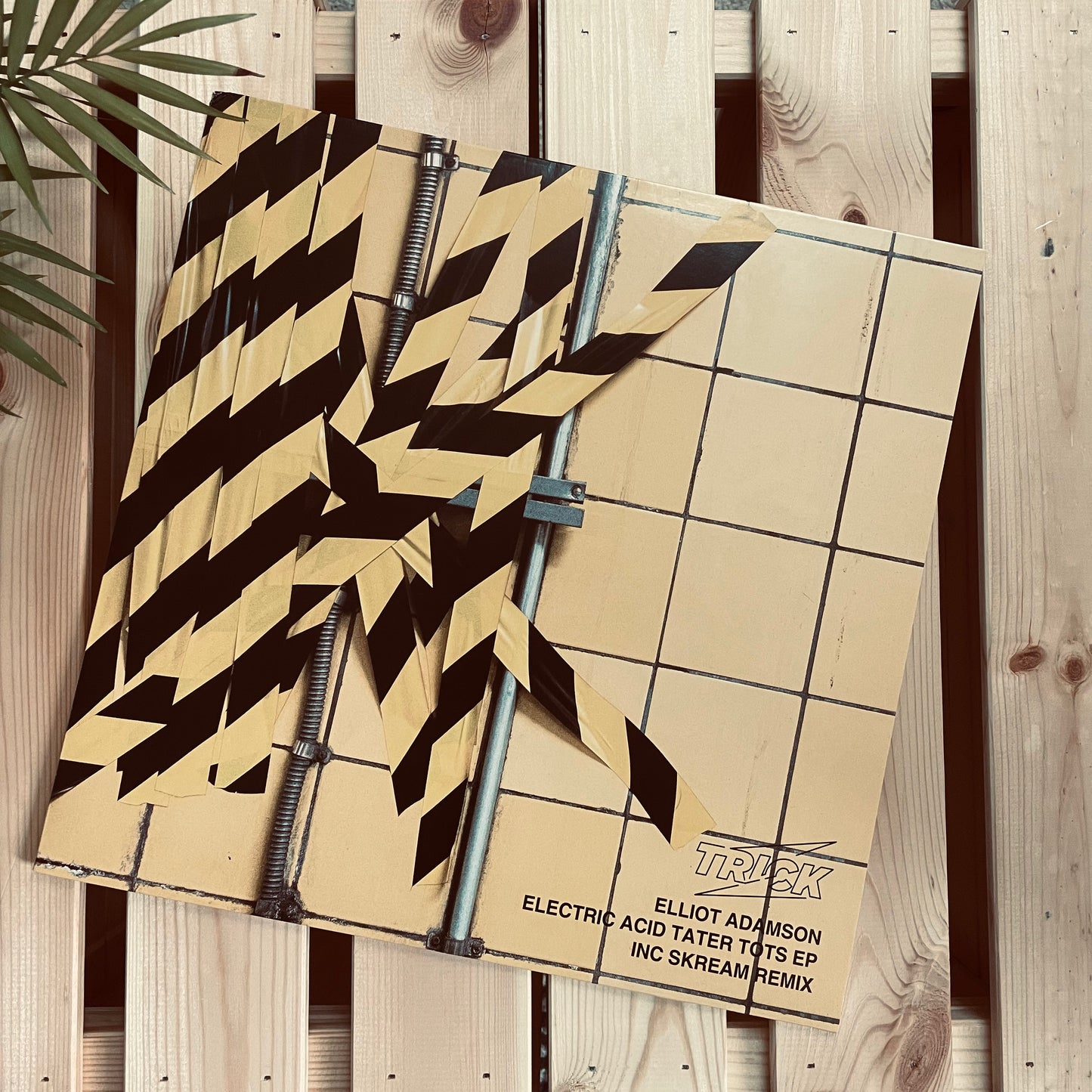 Elliot Adamson | Electric Acid Tater Tots EP (12" Vinyl EP)