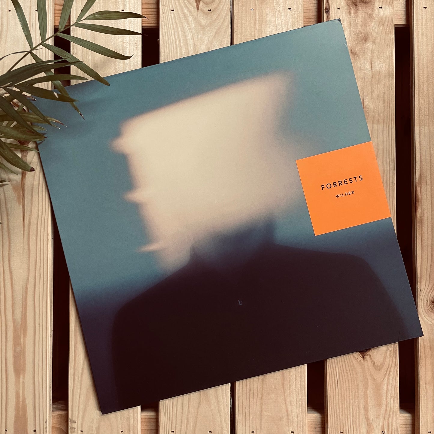 Forrests | Wilder (12" Vinyl LP)